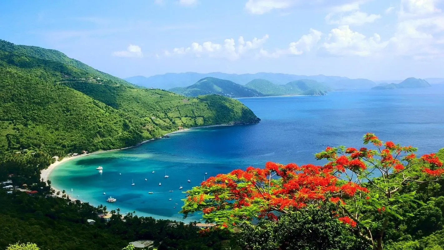绿色高性能自动化